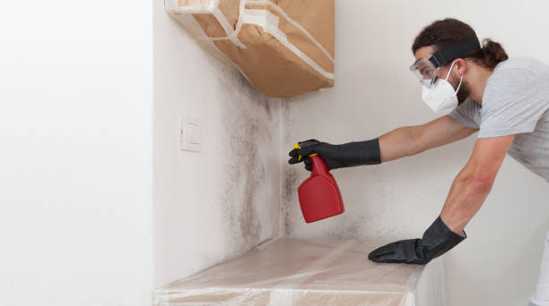 Attic Mold Remediation treatment on roof deck in Warren